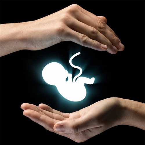 上海捐卵代生女孩-上海试管助孕机构电话-上海供卵手术成功率高吗