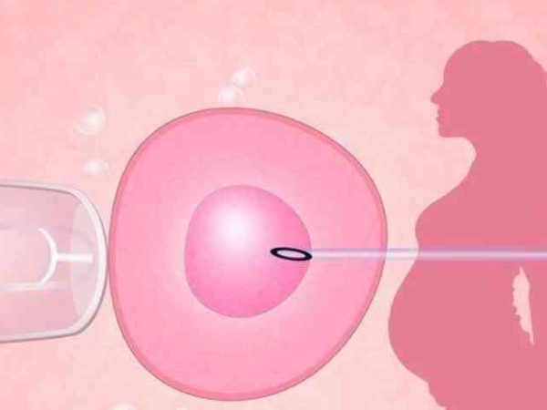 做试管婴儿一般移植几个胚胎 很多人都猜错了